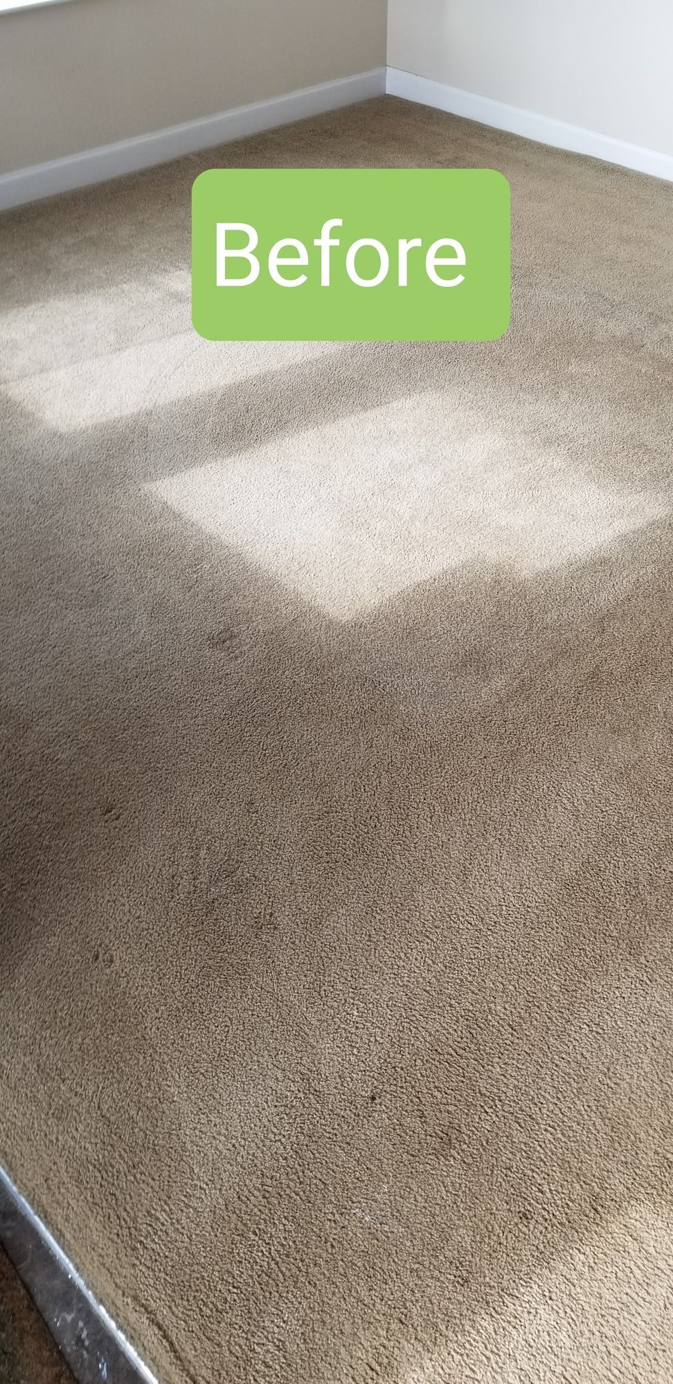 A before picture of a carpet in a room.