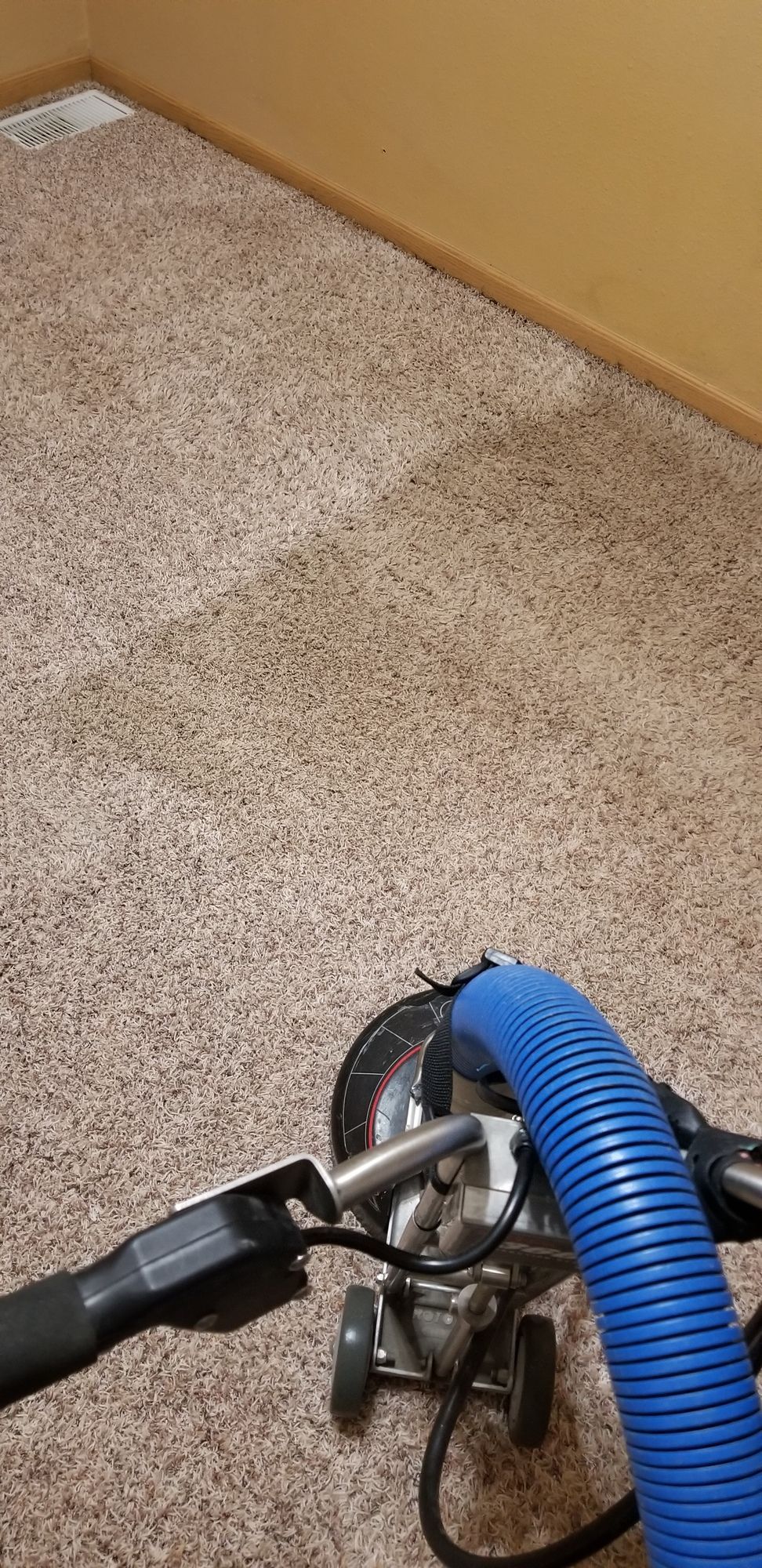 A vacuum cleaner is cleaning a carpet in a room.