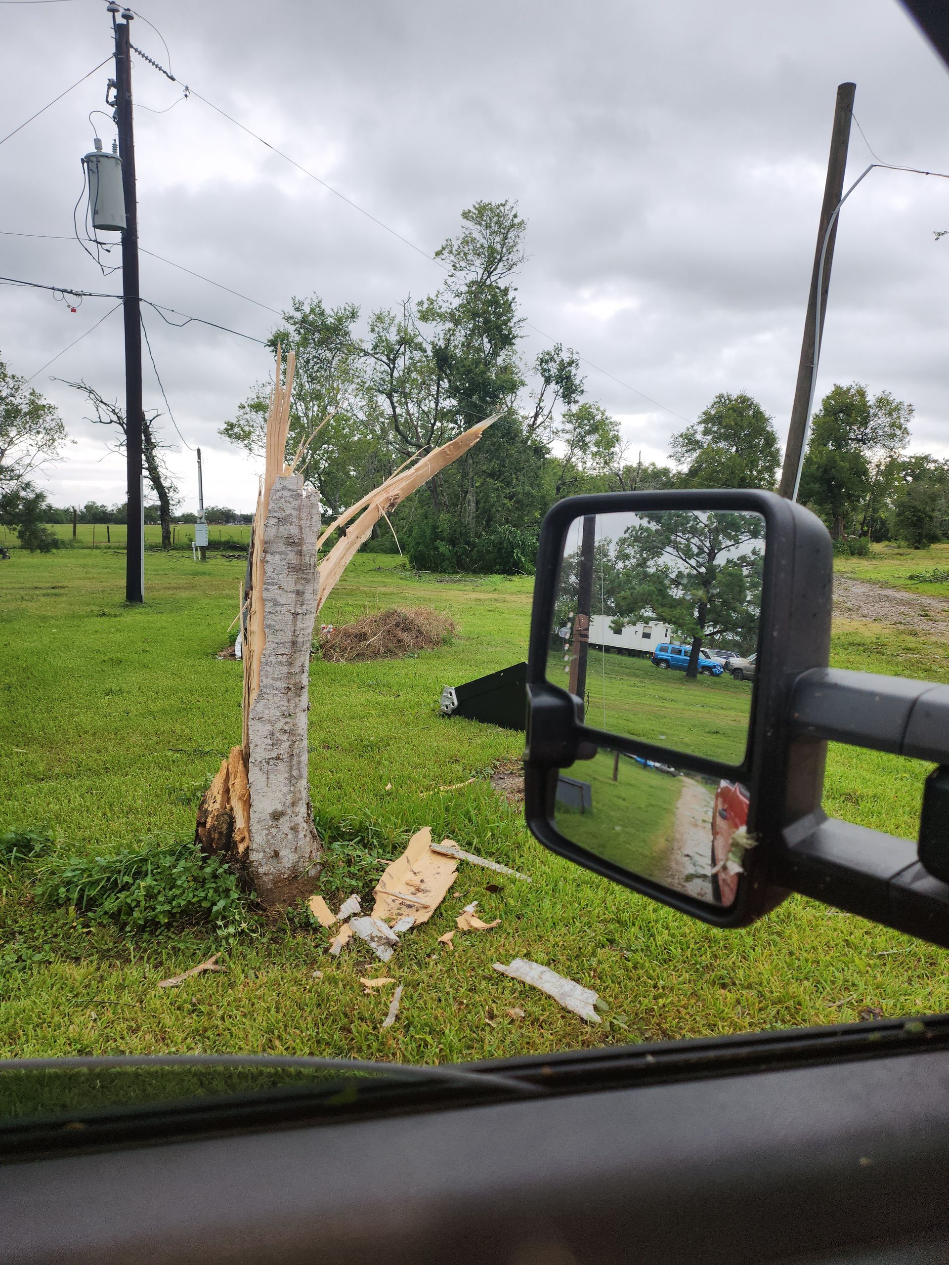 A tree trunk splintered by wind damage near power lines on a cloudy day.
