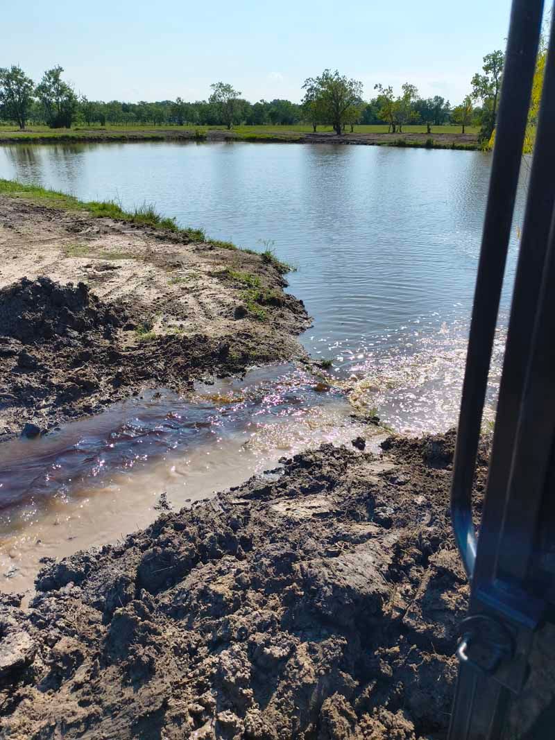 Muddy bank sloping into a calm pond with trees on the far shore. Sunlight reflects off the water.