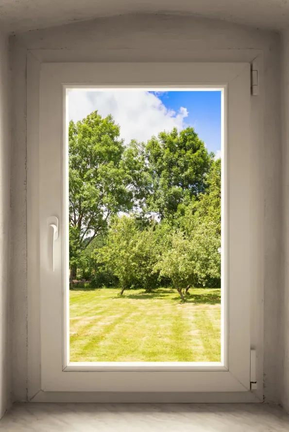 A window with a view of a lush green field and trees.