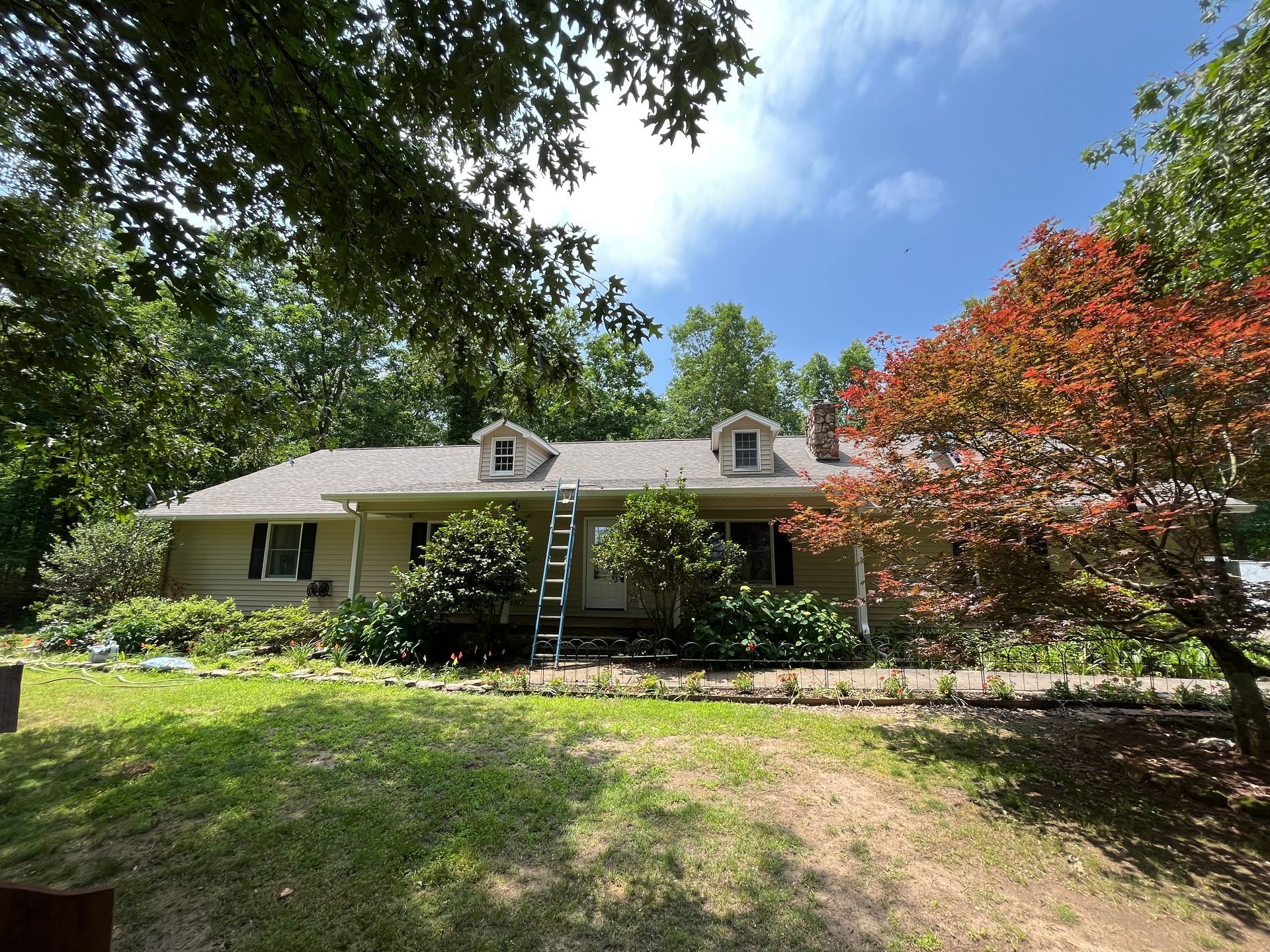A white house with a ladder in front of it is surrounded by trees.