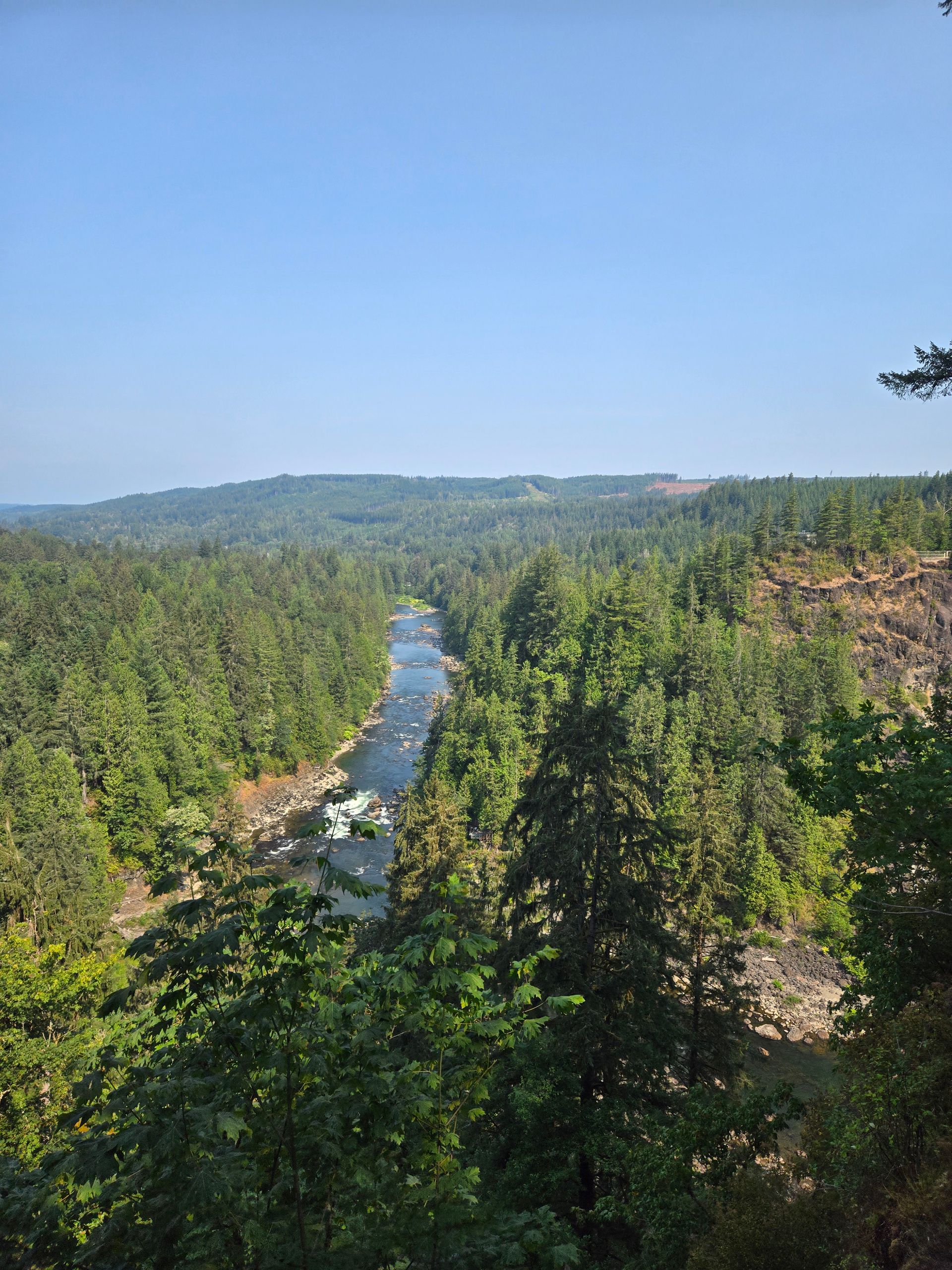River winding through lush green forest under a clear blue sky.