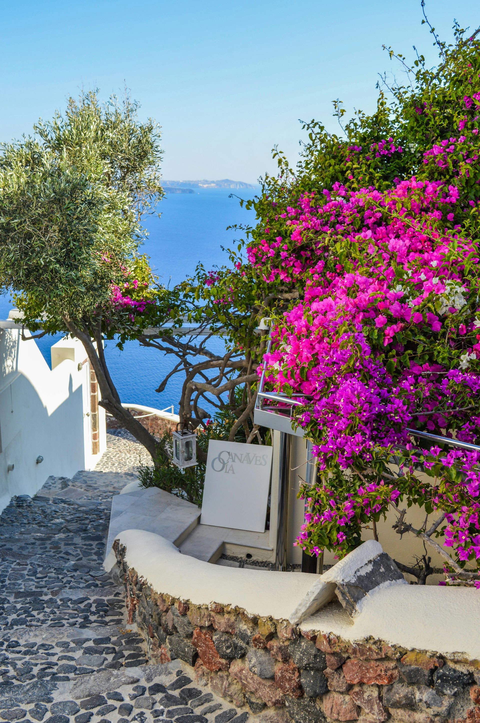 Stone steps lead down toward blue sea; white buildings, pink bougainvillea, and tree with green leaves.