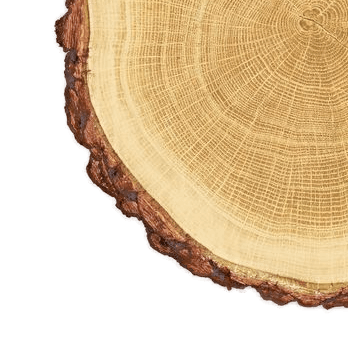 ACAPO, Holzbau, Holz