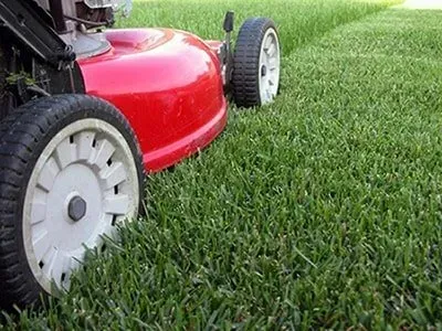 A red lawn mower is cutting a lush green lawn.