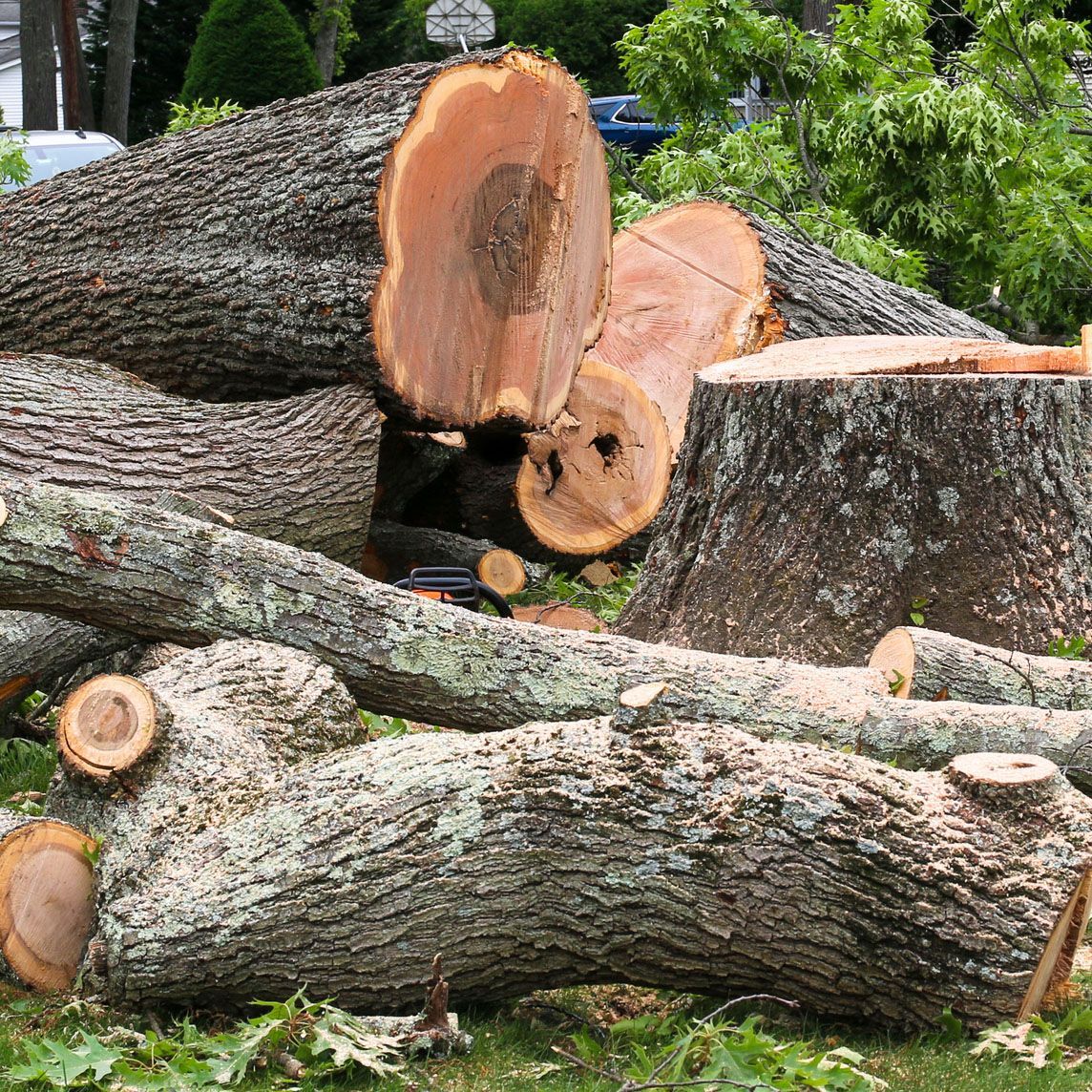 A pile of logs sitting on top of each other in the grass.