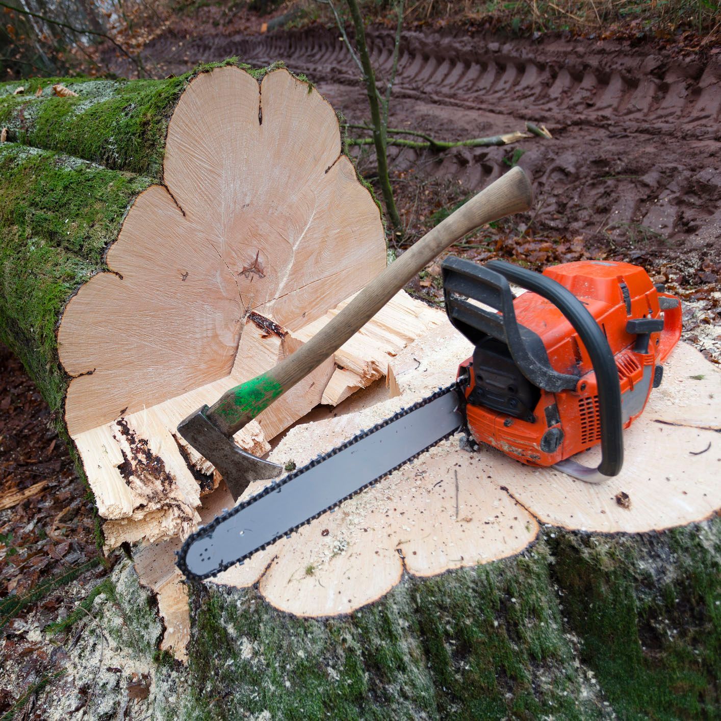 A chainsaw is sitting on top of a tree stump