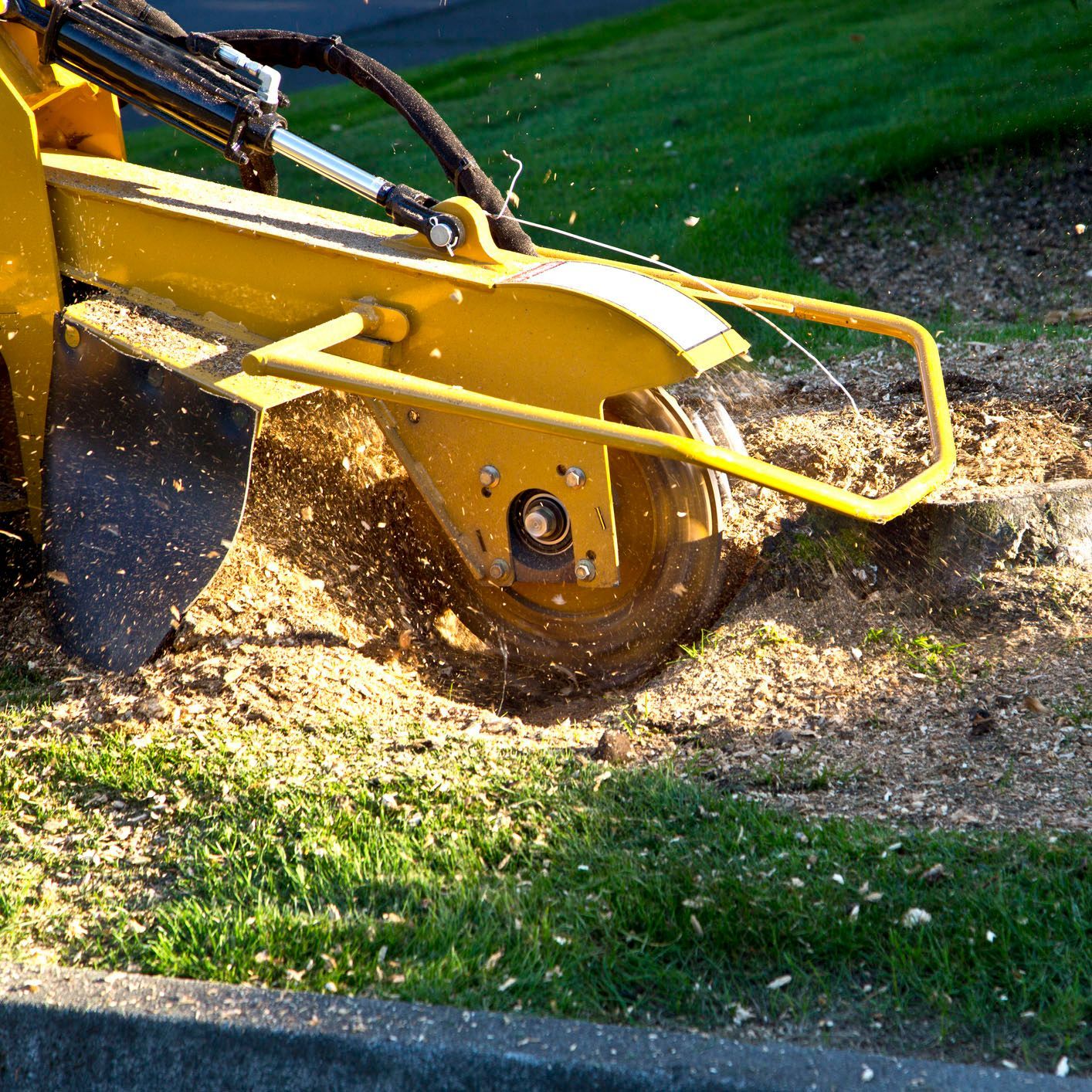 A yellow machine is stump grinding a tree in a yard.