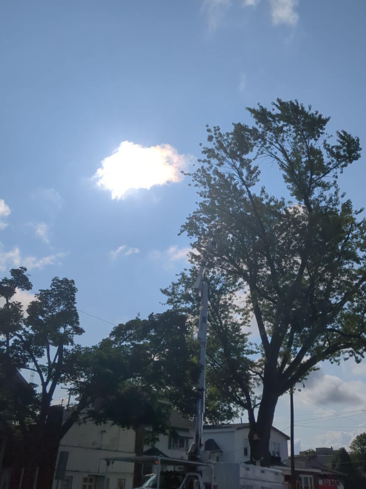 The sun is shining through the clouds above the trees