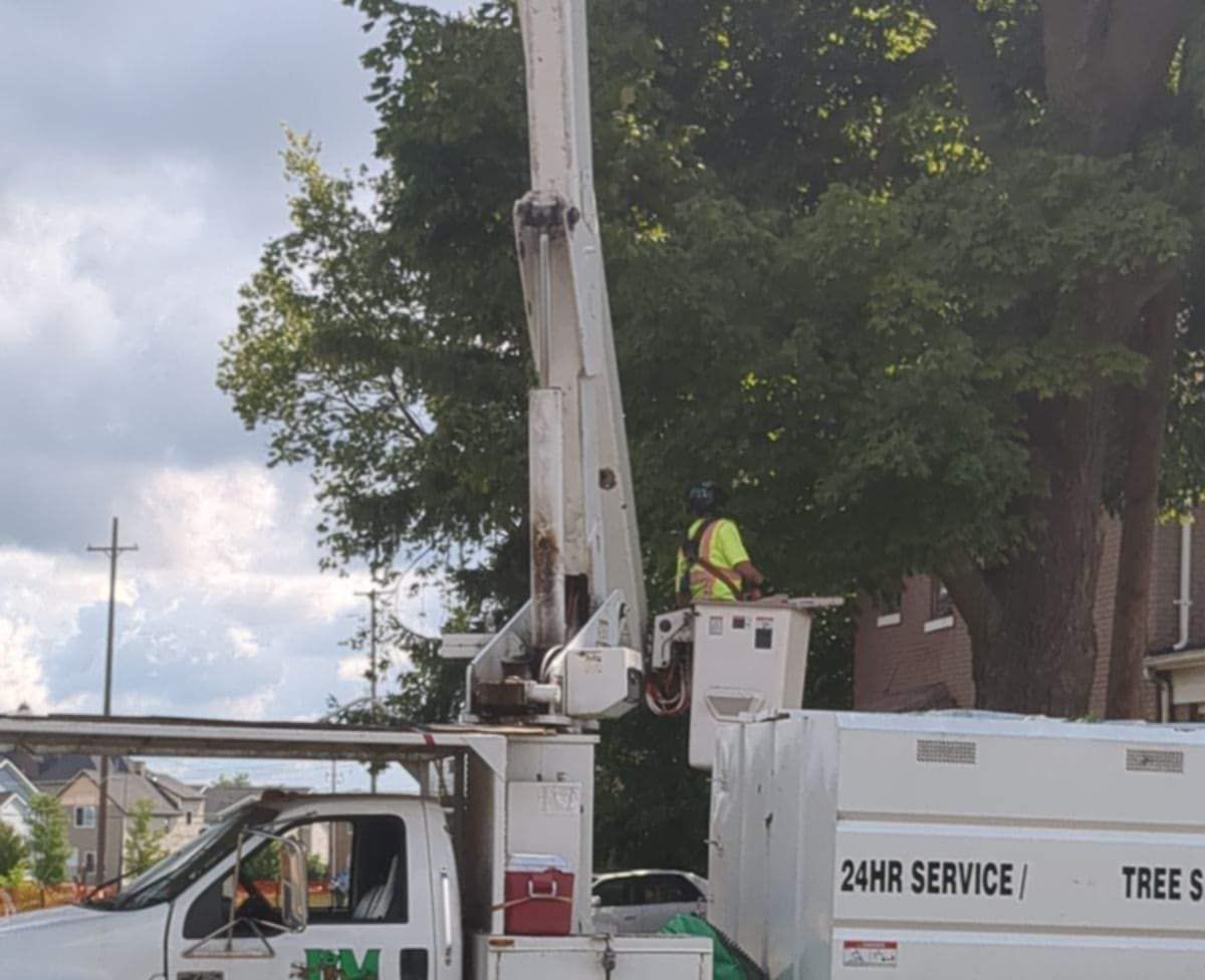 A tree service truck is parked on the side of the road