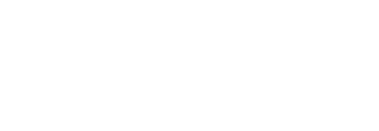 Stash-It Luggage Logistics logo