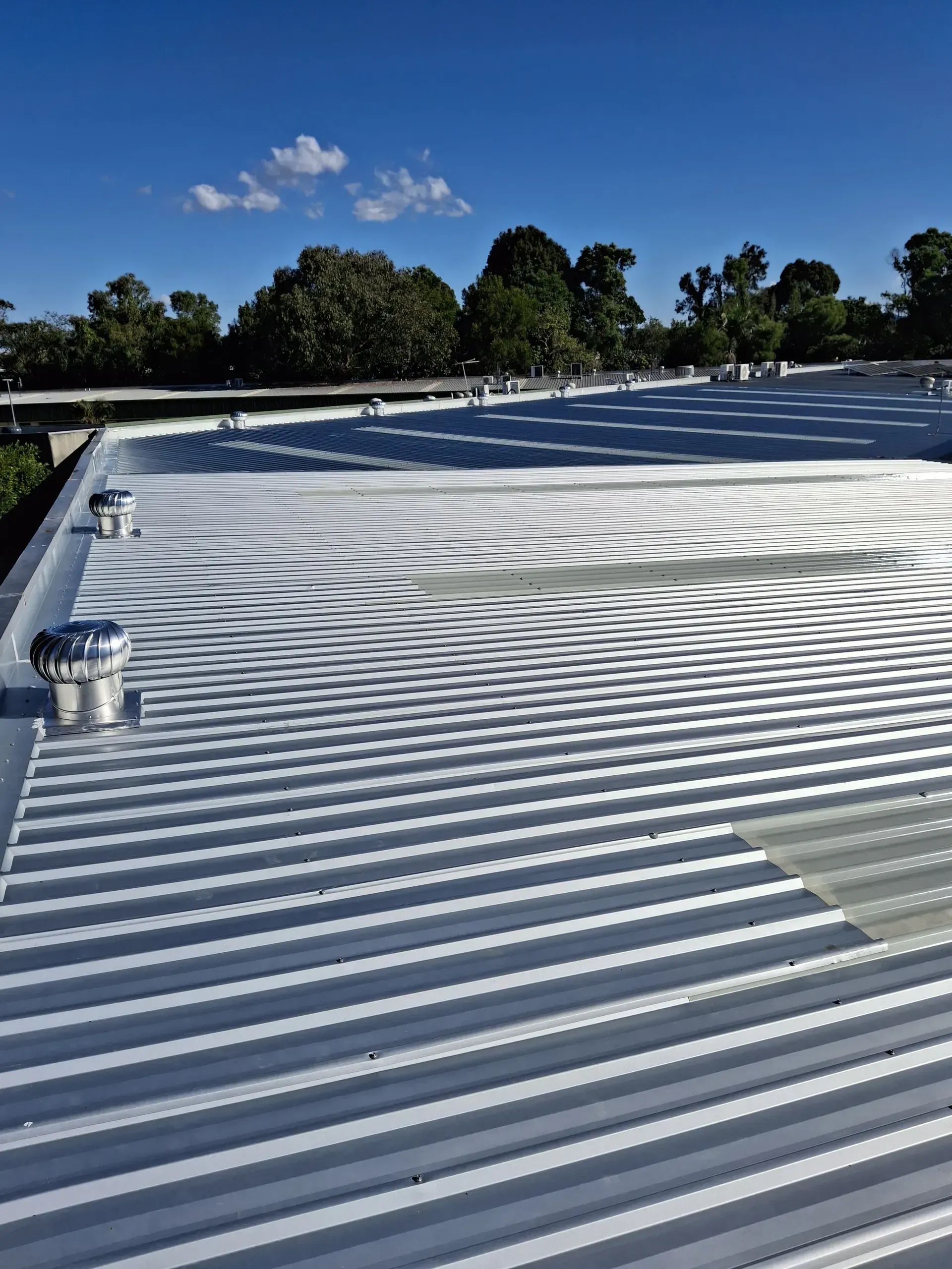 Metal corrugated roof with vents, trees, and blue sky in the background.