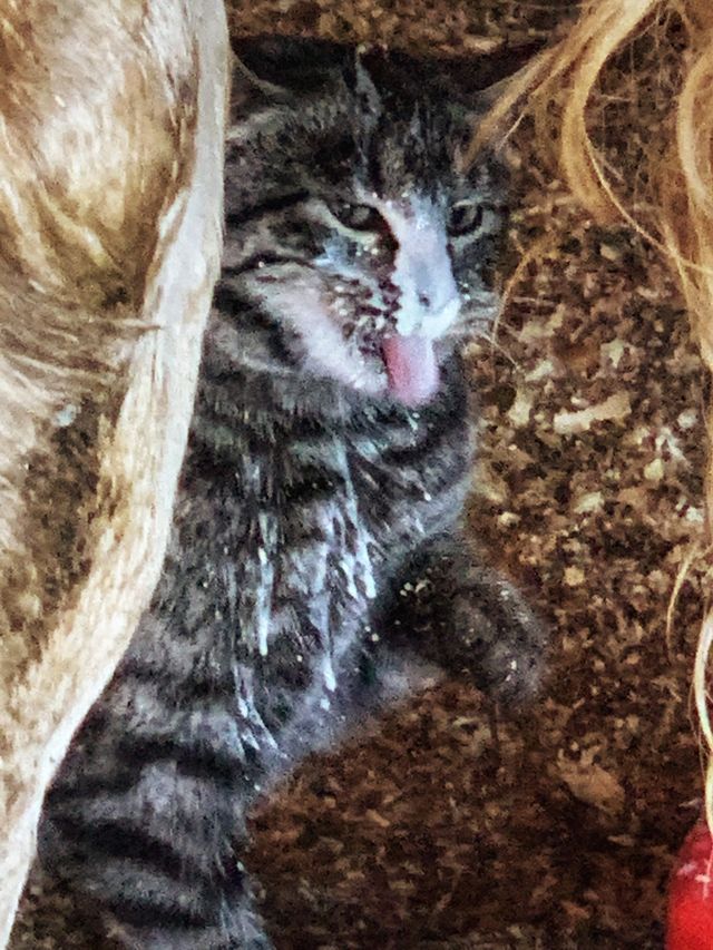 The Milk House photo 17