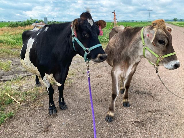 The Milk House photo 10