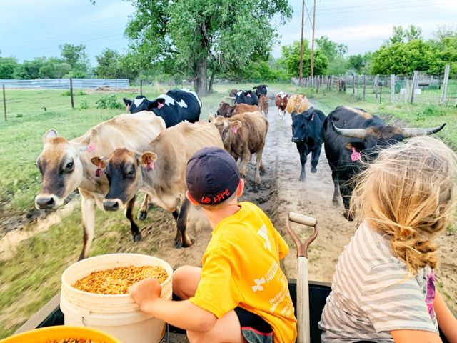 The Milk House photo 9