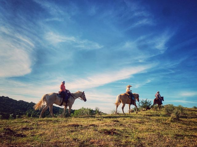 The Milk House photo 5