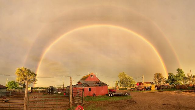 The Milk House photo 15