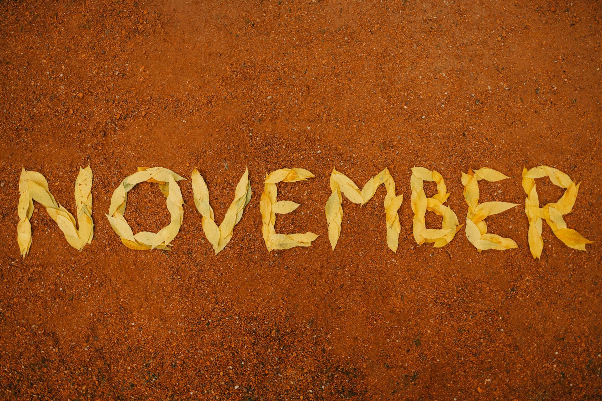 Leaves in sand forming the word November