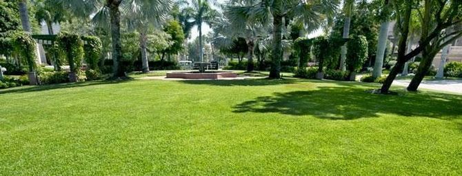 commercial landscaping