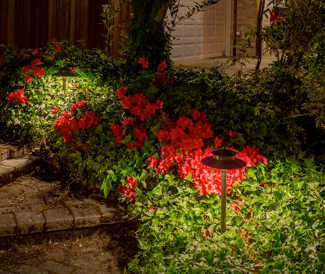 landscape lighting