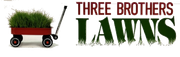 landscaping and lawn care services