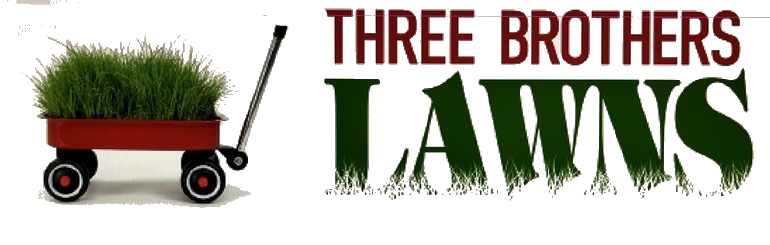 landscaping and lawn care services