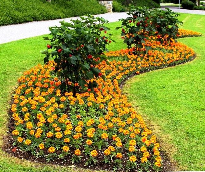 landscape design and installation