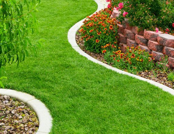 lawn care and maintenance