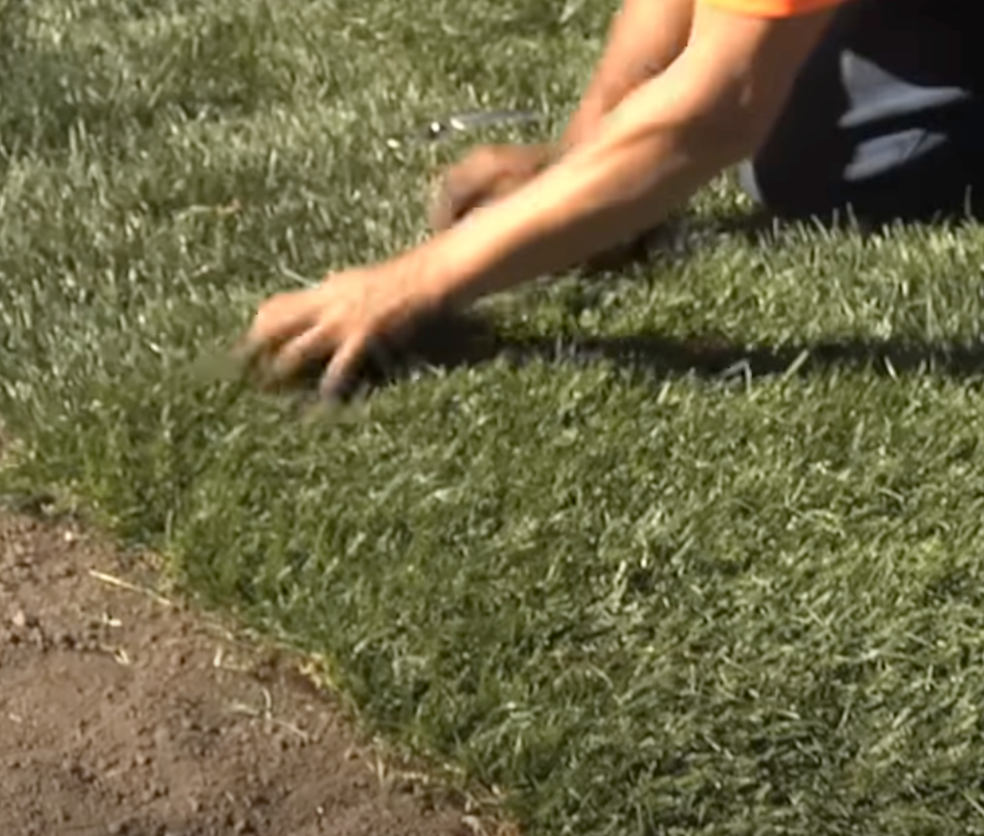 laying sod