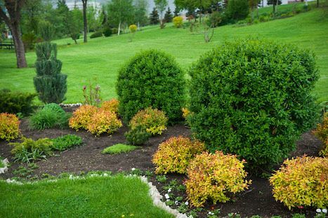 mountain brook lawn care