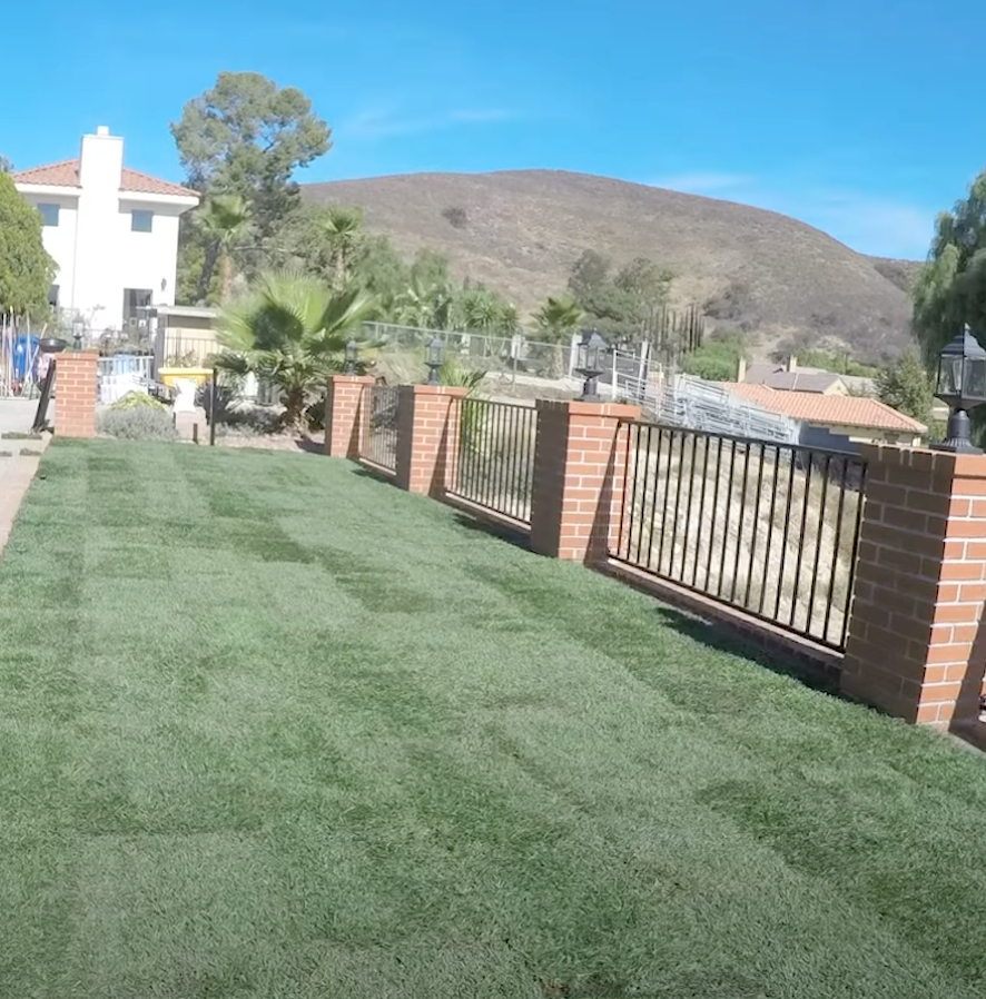new sod