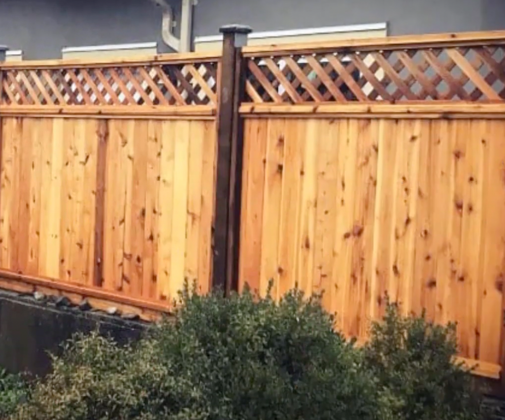 privacy fence contractor