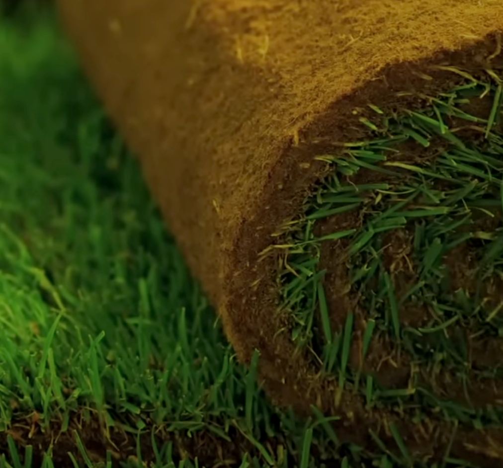 sod services