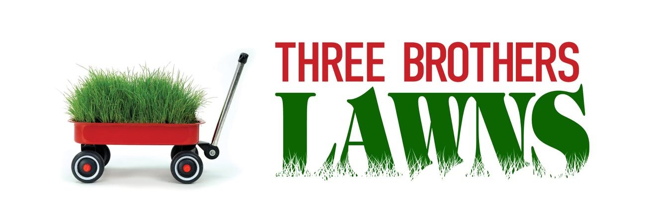 landscaping and lawn care services