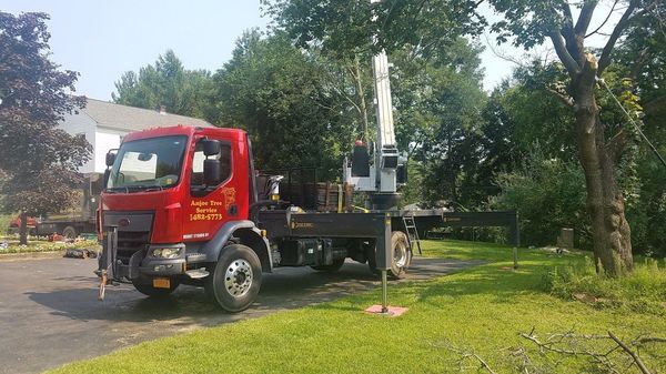 a red truck with a crane on the back says anjoe tree service albany ny, colonie ny, troy ny