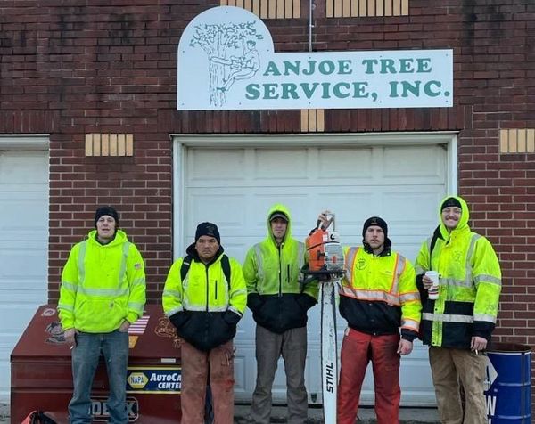 Five people in neon yellow jackets stand in front of