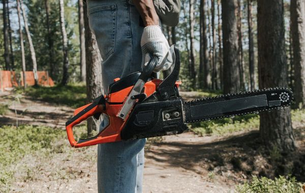 Person holding an orange and black chainsaw in a forest.