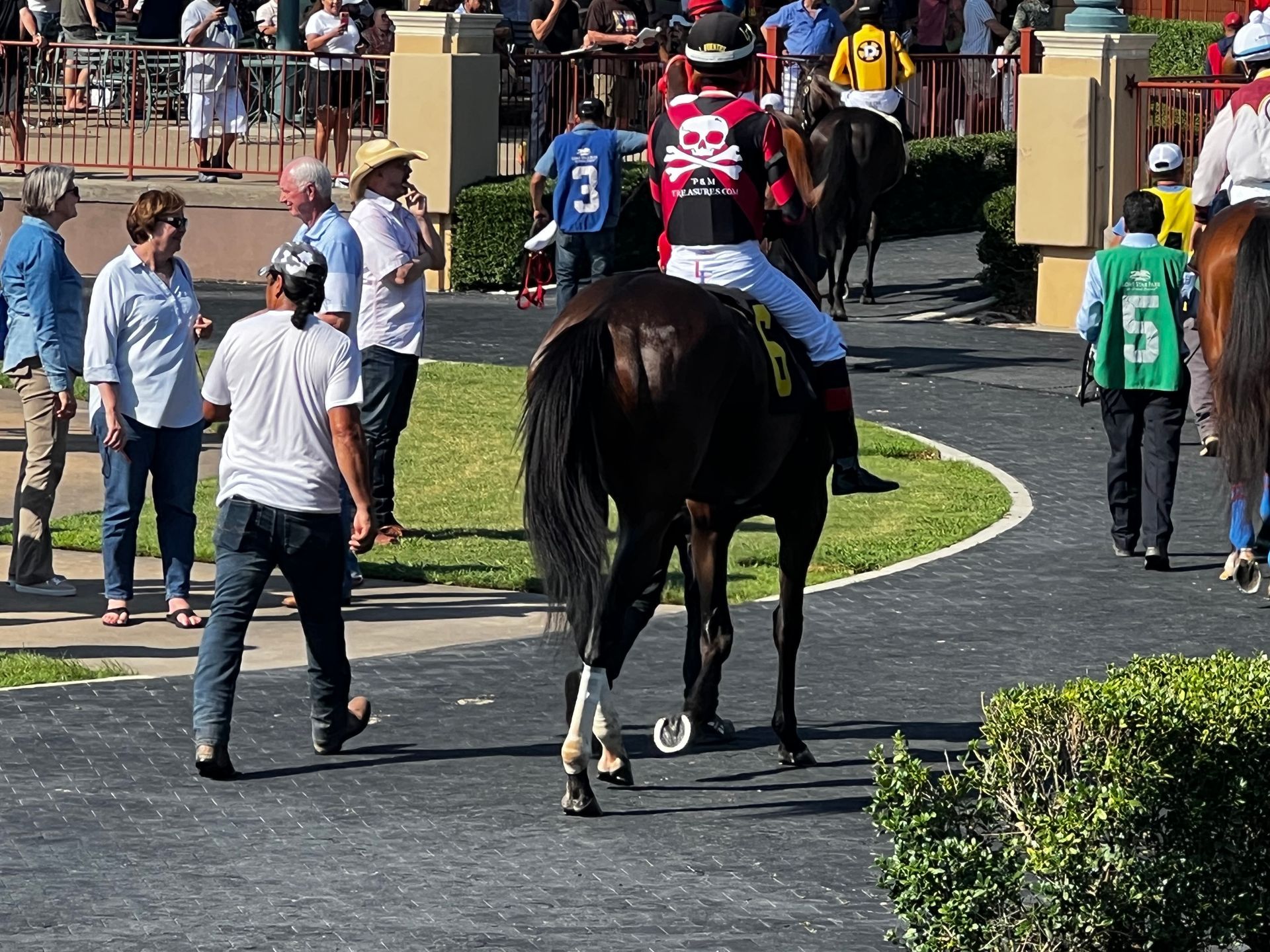 Horse Rising — Hot Springs, AR — P&M Treasure