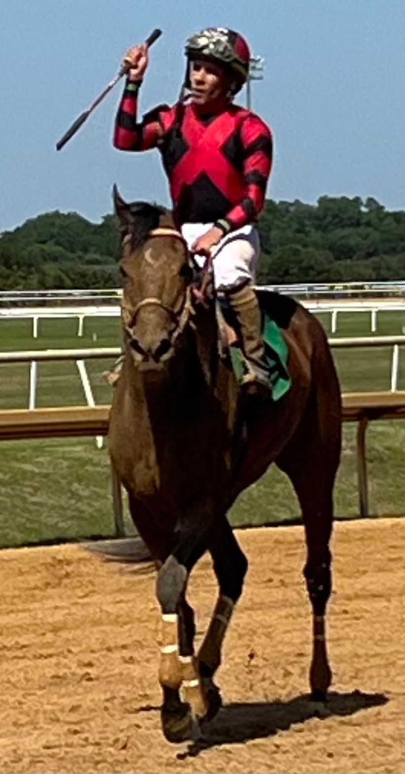 Man Riding A Horse - Hot Springs, AR - P&M Treasure