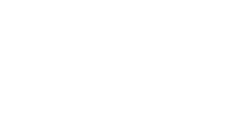 Born Inspections & Consulting