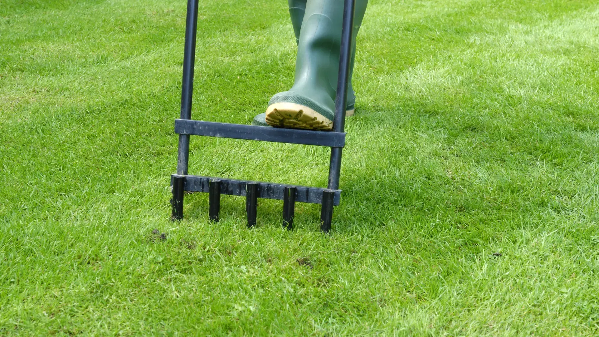 Person in green boots aerating a green lawn with a step-on aerator tool.