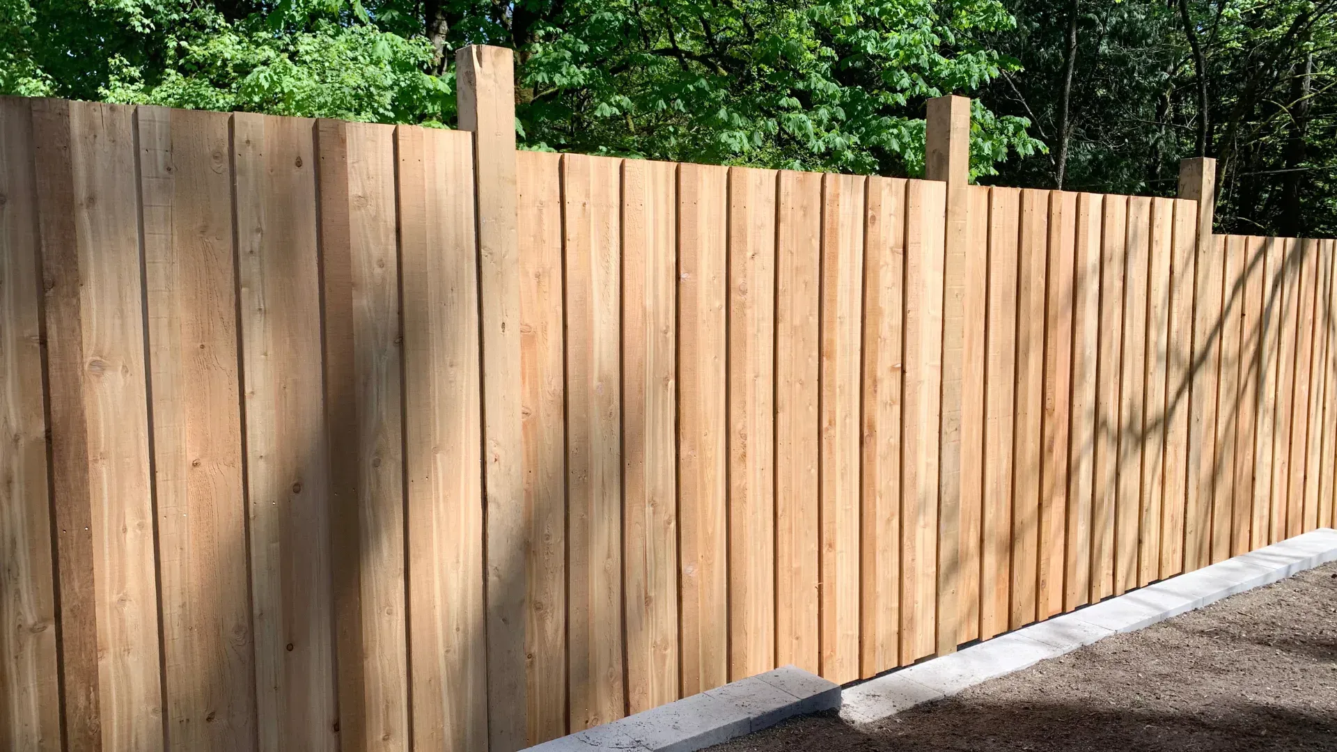 Wooden fence with vertical planks, in a sunny outdoor setting.