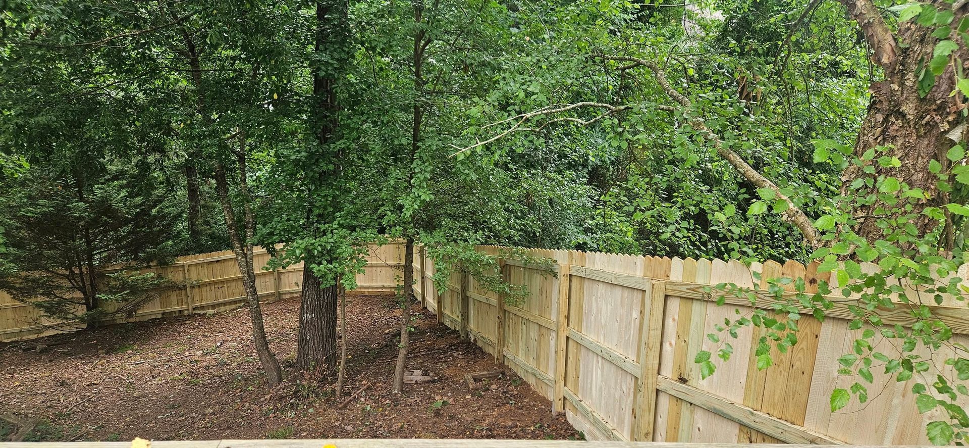 Backyard with a wooden fence, trees, and brown ground cover.