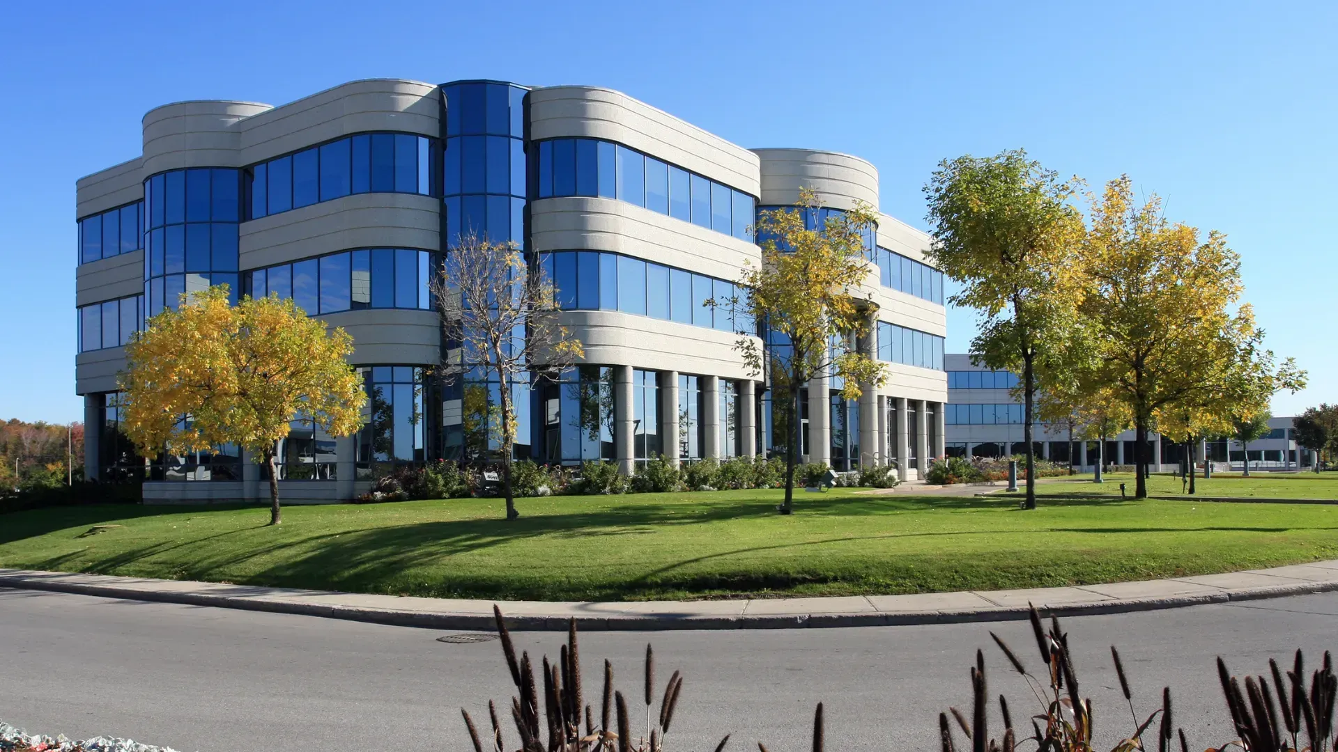 Modern beige office building with blue glass windows, surrounded by green grass and fall trees.
