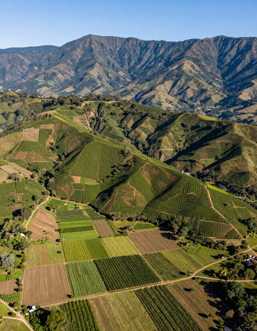 Campos agrícolas que se extienden por onduladas colinas verdes con montañas escarpadas al fondo, bajo un cielo azul claro.