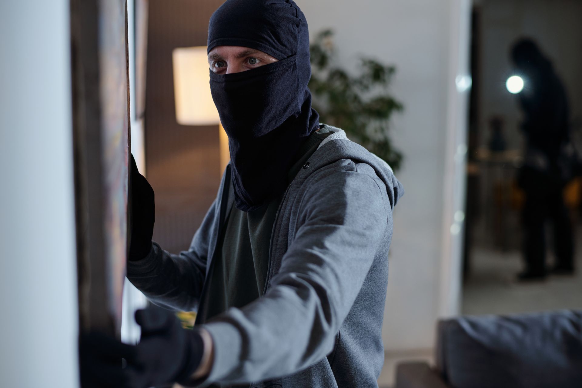 Person in black mask stealing a framed item on a wall, another figure in the background.