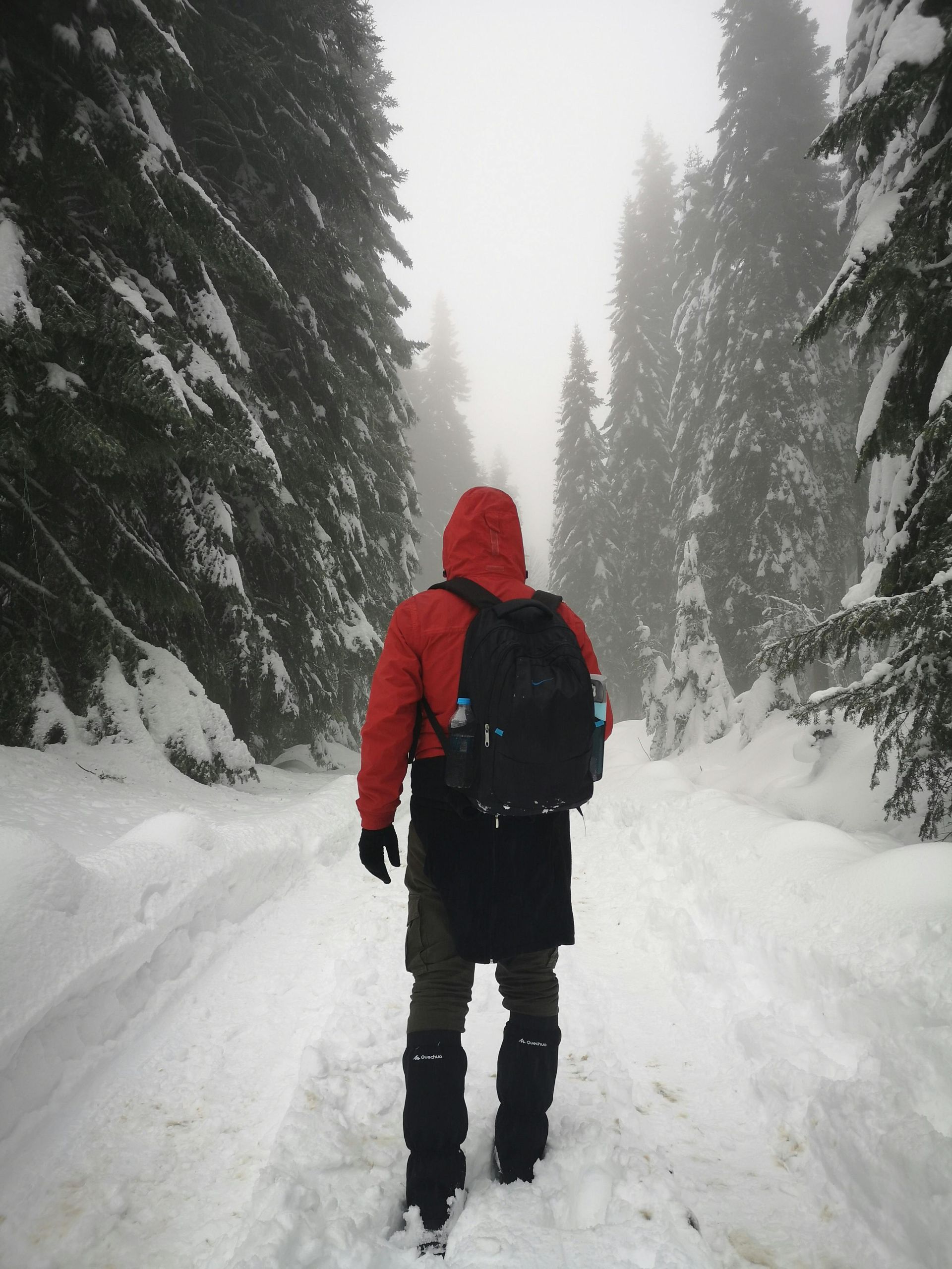Person in red jacket and backpack walks snowy path through a forest.
