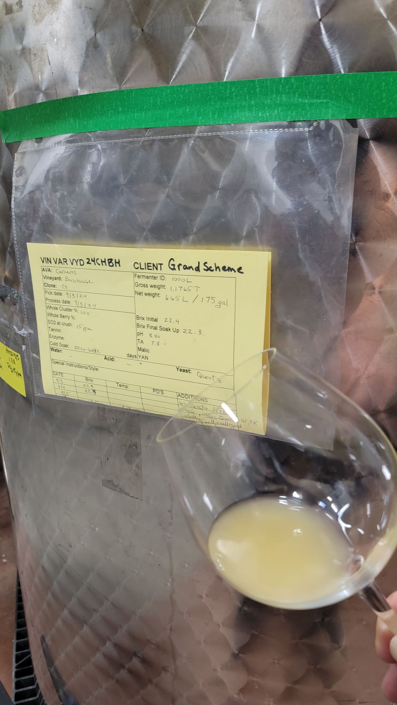 Tasting Chardonnay Grapes Being Fermented