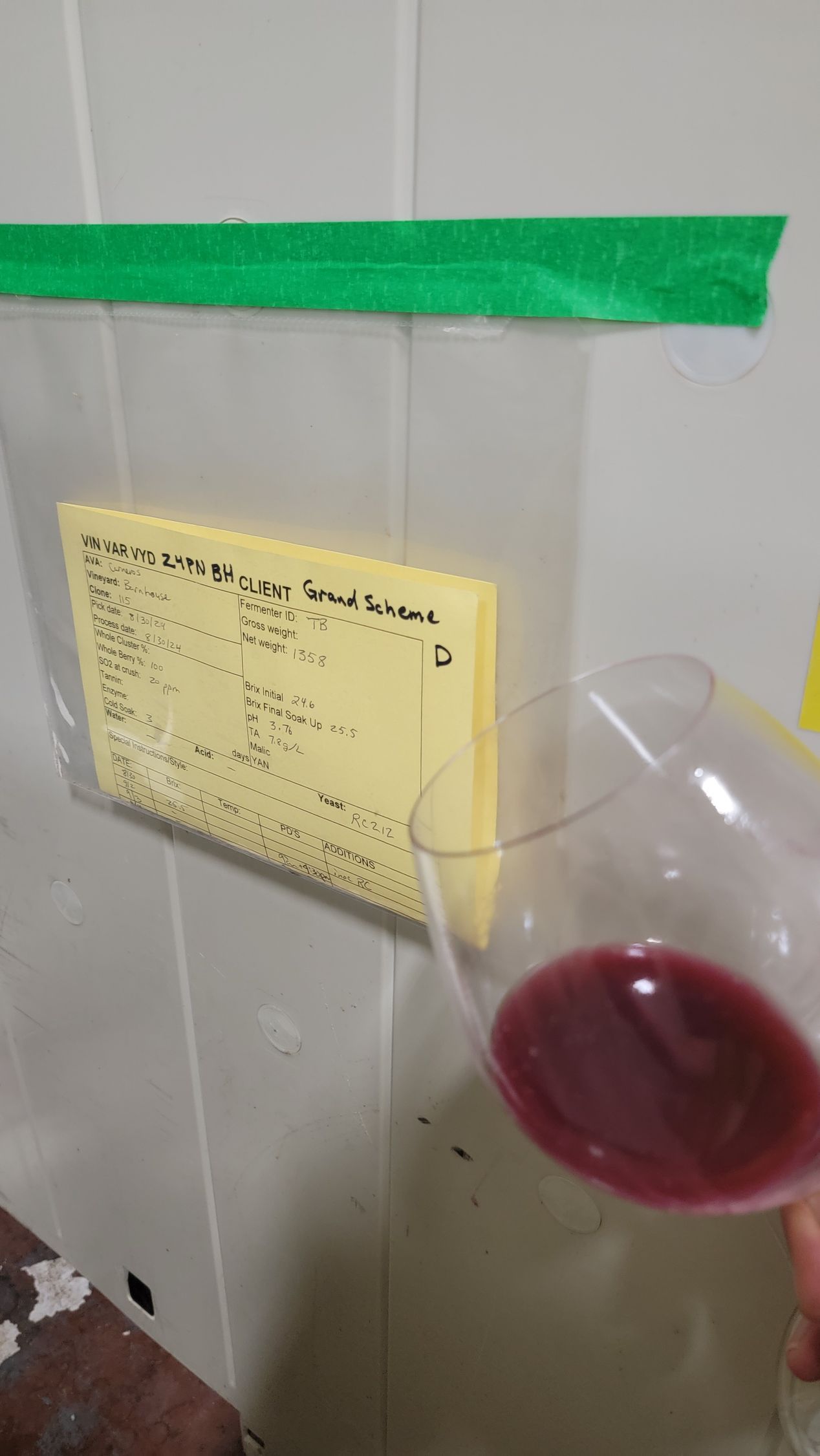 Tasting Pinot Noir Grapes Being Fermented